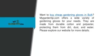 Buy Cheap Gardening Gloves in Bulk  Mygardentip.com