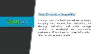Flood Restoration Dehumidifer  Lumagro.com