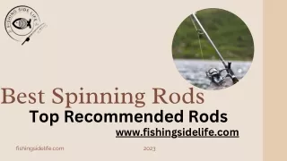 Best Spinning Rods for fishing