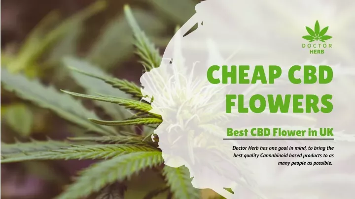 cheap cbd flowers