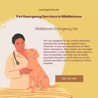 monhagenvet com