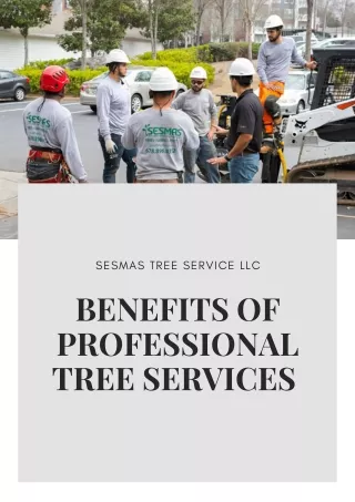 BENEFITS OF PROFESSIONAL TREE SERVICE