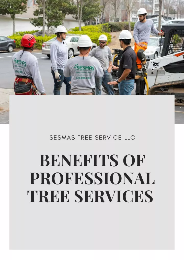 sesmas tree service llc benefits of professional