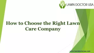 How to Choose the Right Lawn Care Company