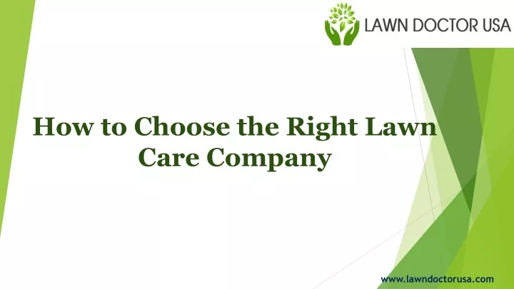 how to choose the right lawn care company