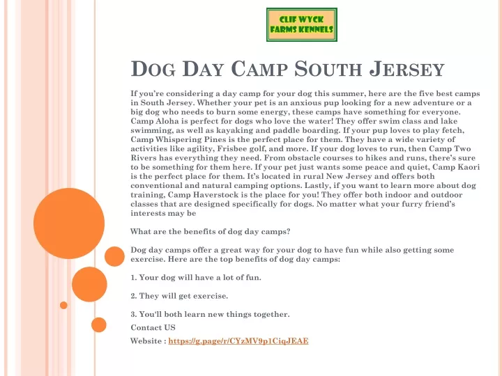 dog day camp south jersey