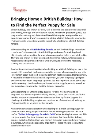 Bringing Home a British Bulldog - How to Find the Perfect Puppy for Sale