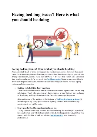facing bed bug issues here is what you should