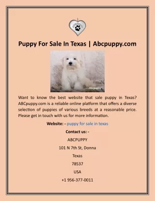 Puppy For Sale In Texas  Abcpuppy