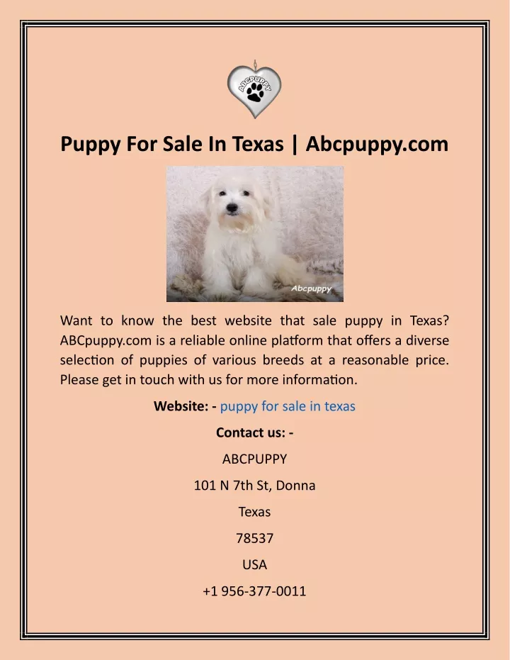 puppy for sale in texas abcpuppy com