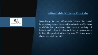 Affordable Kittens For Sale  Interpetsnyc.com