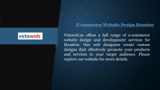 E-commerce Website Design Houston | Vetsweb.us