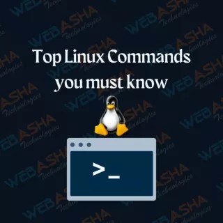 Top Linux Command