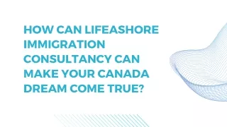 HHow immigration consultancies help in making the immigration process easy