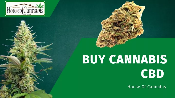 buy cannabis
