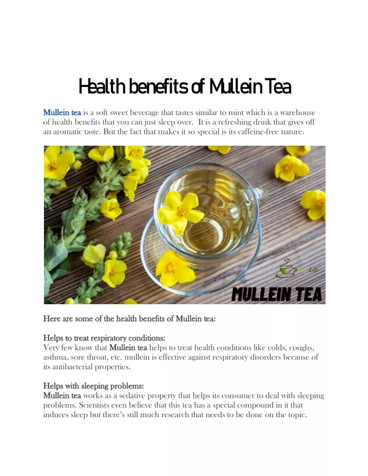 h ealth benefits of m ullein tea