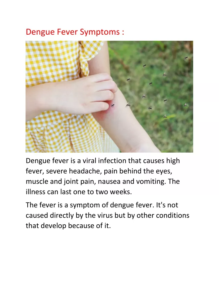 dengue fever symptoms