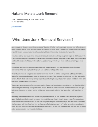 hakuna matata junk removal