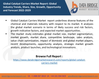 Catalyst Carriers Market  report Demand, Key Players, Size, Share