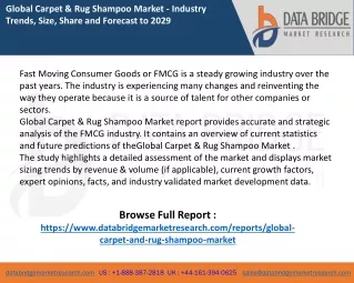 Carpet and Rug Shampoo Market Share Analysis