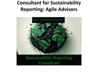 consultant for sustainability reporting agile advisors