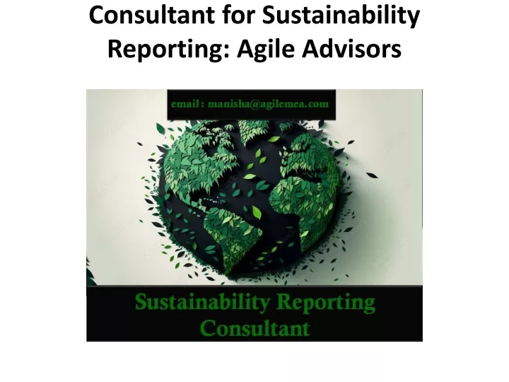 consultant for sustainability reporting agile advisors