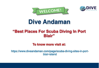 dive andaman