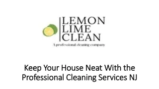 Keep Your House Neat With the Professional Cleaning