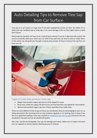 Auto Detailing Tips to Remove Tree Sap from Car Surface