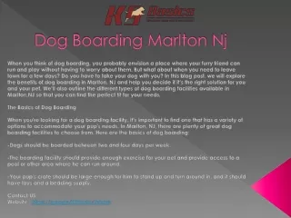 Dog Boarding Marlton Nj