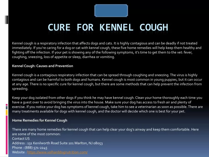 cure for kennel cough