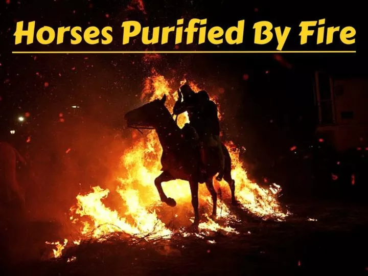horses purified by fire