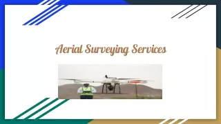 Aerial Surveying Services