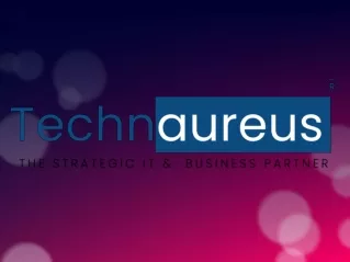 Customized ERP - Technaureus