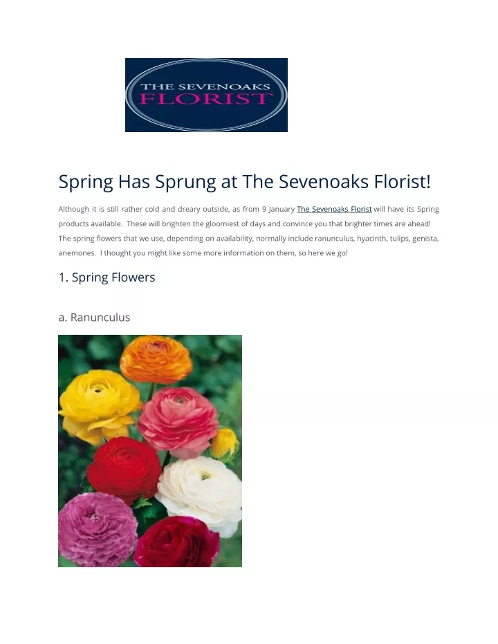 spring has sprung at the sevenoaks florist