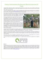 Caring Veterinarians Go Beyond What Is Expected Of Them - slide 1