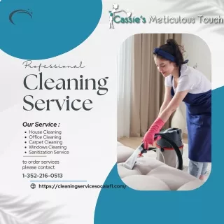 Cassie's Meticulous Touch Cleaning Service