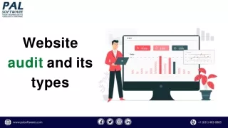 website audit and its types