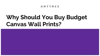 Why Should You Buy Budget Canvas Wall Prints_