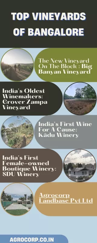 Best Vineyards in Bangalore | Best Land Investment in Bangalore