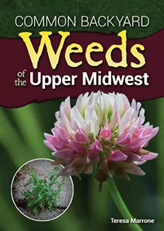 PDF/BOOK Common Backyard Weeds of the Upper Midwest
