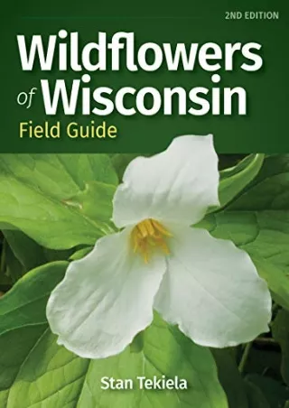 PDF/READ Wildflowers of Wisconsin Field Guide (Wildflower Identification Guides)