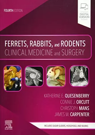 PDF/READ Ferrets, Rabbits, and Rodents