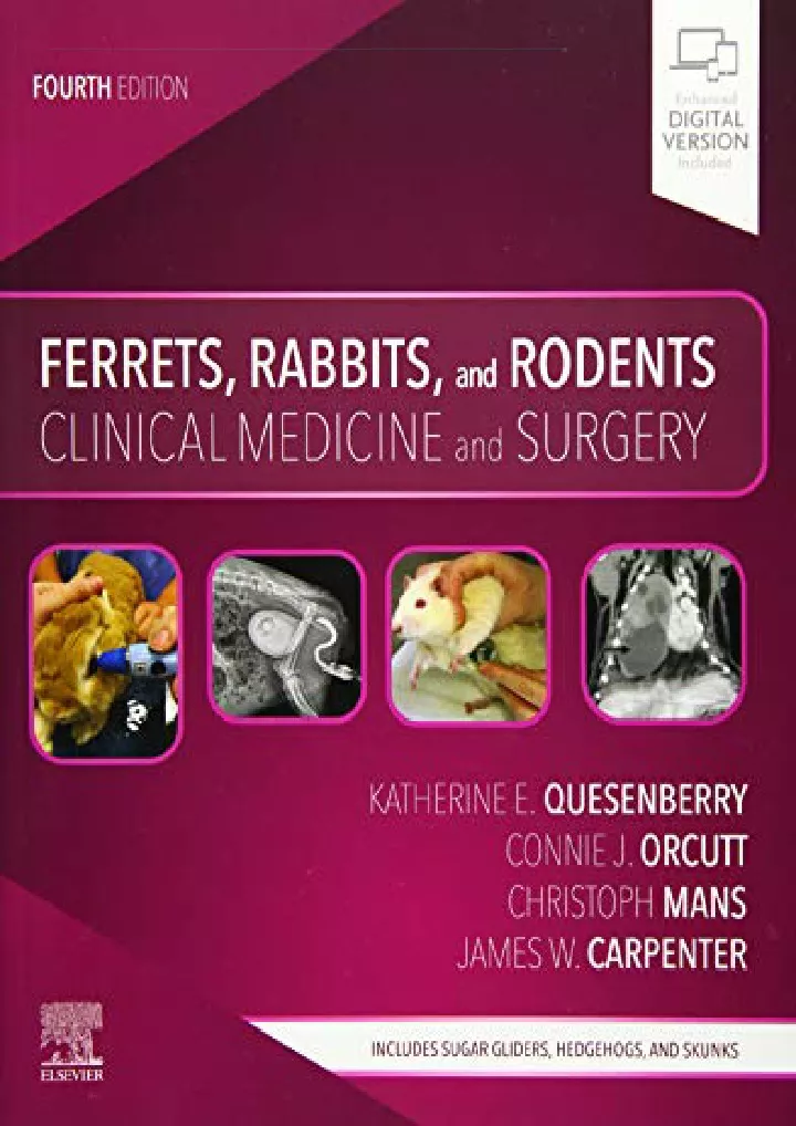 ferrets rabbits and rodents download pdf read