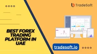 Best Forex Trading Platform in UAE