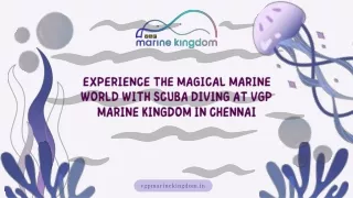 Experience the Magical Marine World with Scuba Diving at VGP Marine Kingdom in Chennai