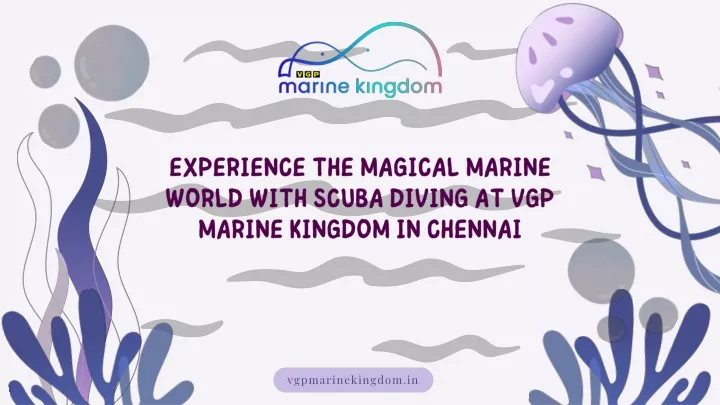 vgpmarinekingdom in