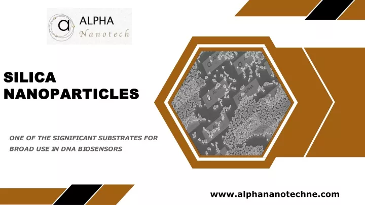 silica nanoparticles