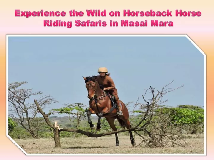 experience the wild on horseback horse riding