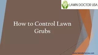 How to Control Lawn Grubs